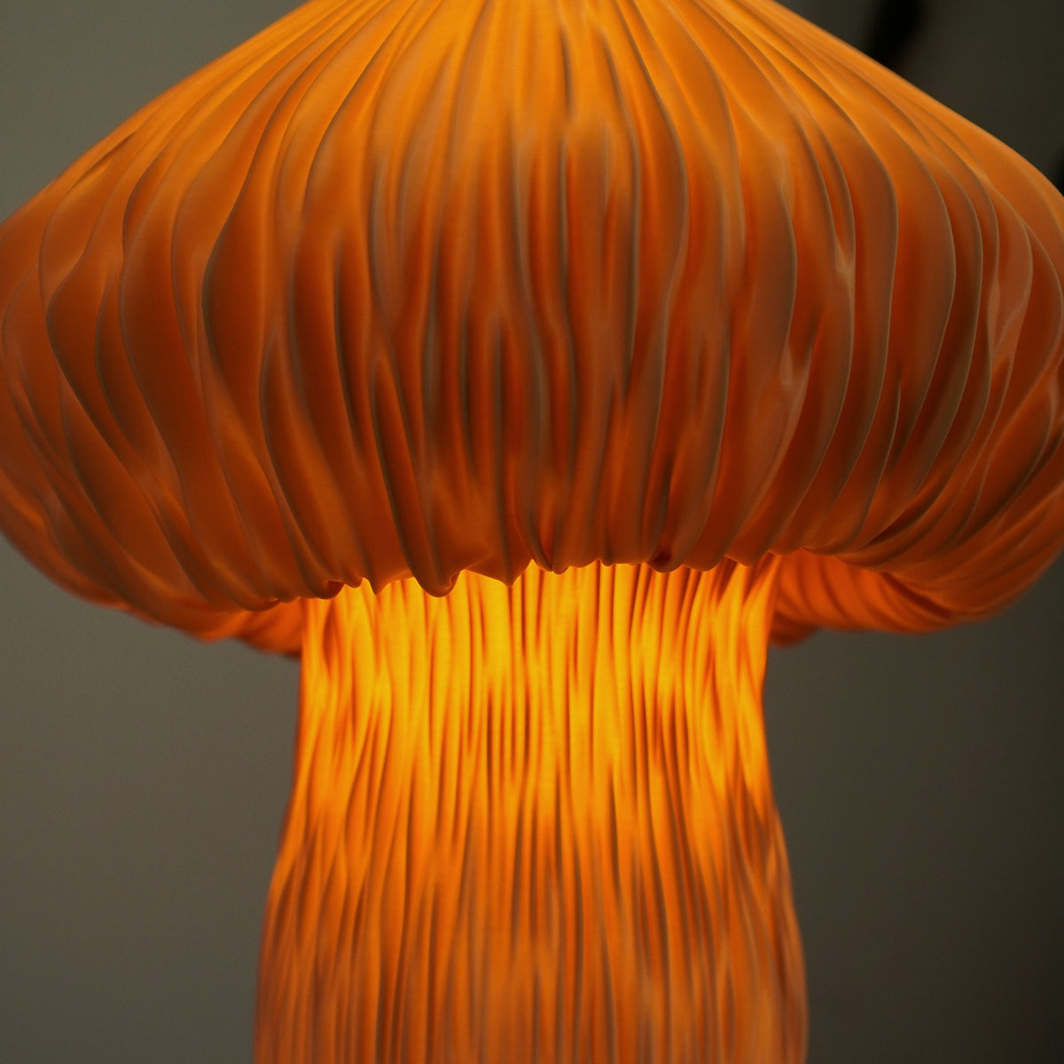 Mycelia Light Roast Studio Edition mushroom lamp — illuminated ribs and stem detail