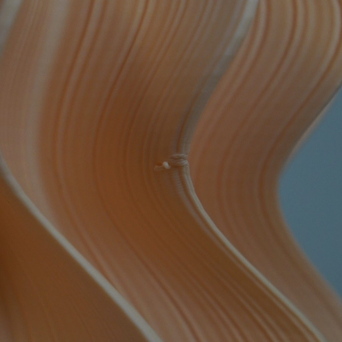 Peach Iris misprint detail