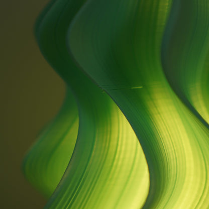 Pistachio Iris Medium — Seconds
