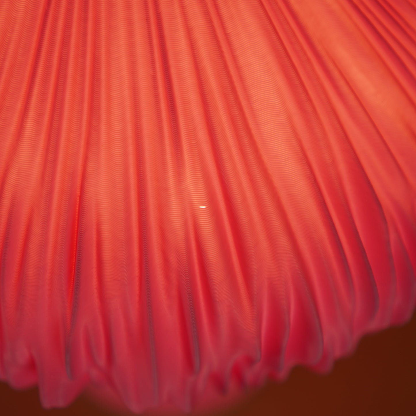 Mycelia in Deep Pink — Colour Test / Seconds