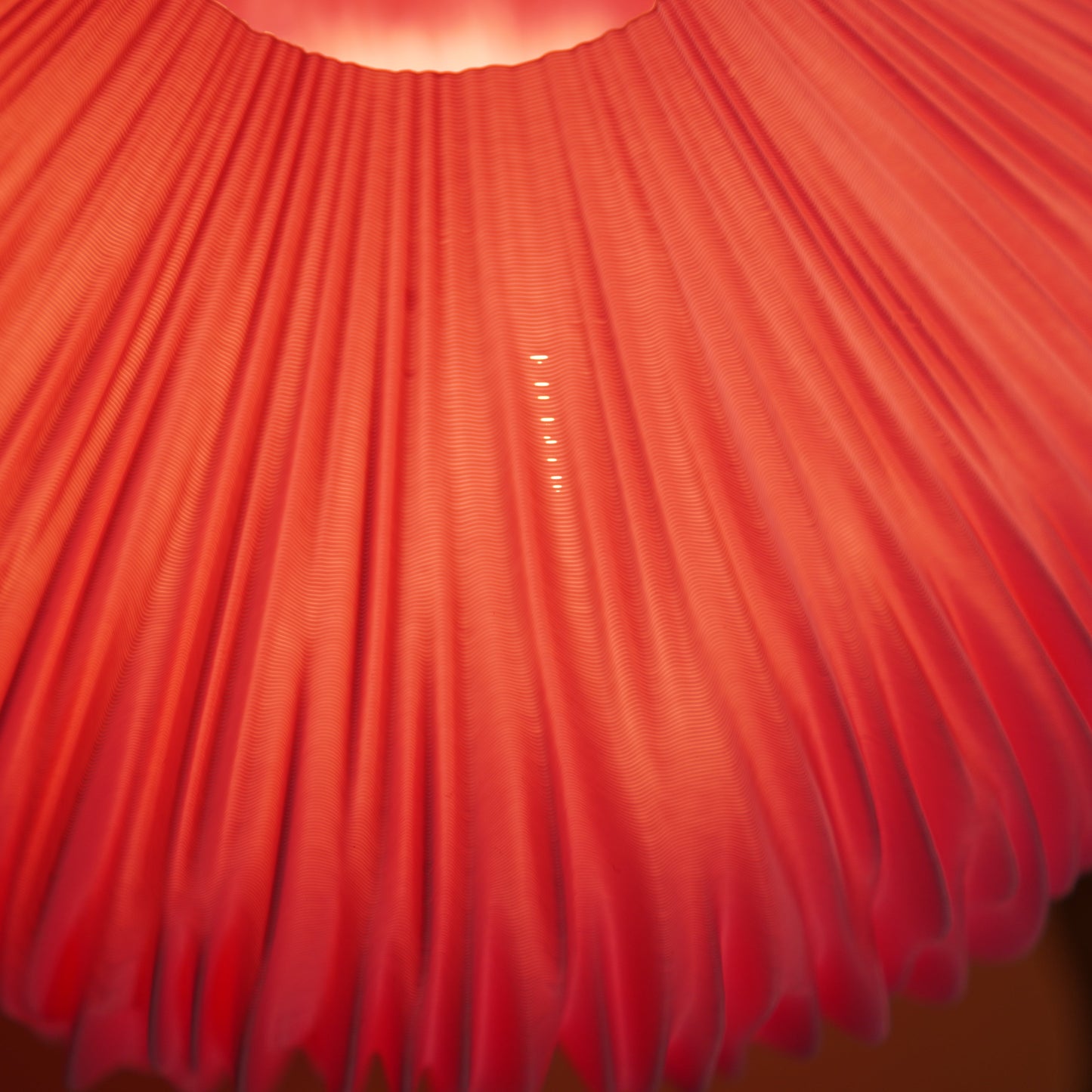 Mycelia in Deep Pink — Colour Test / Seconds