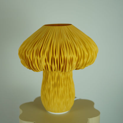 Ochre Mycelia — Colour Trial / Seconds