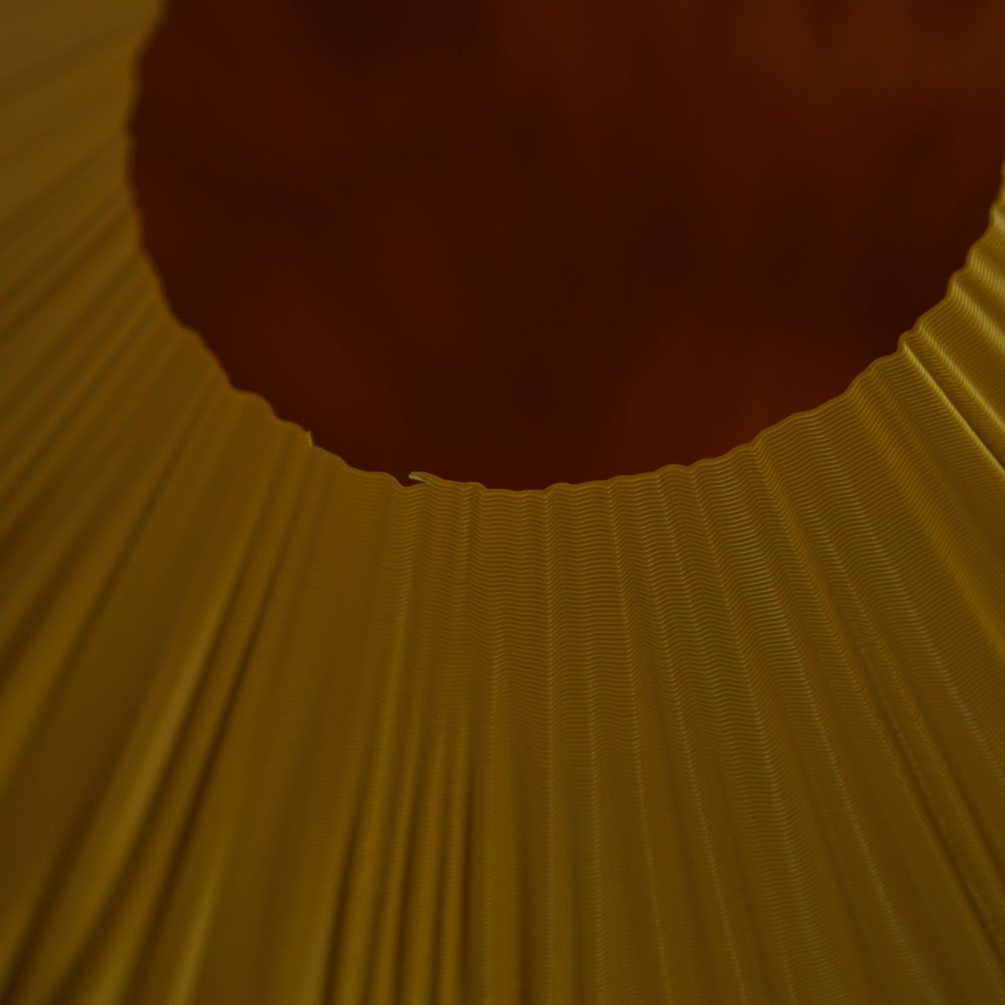 Ochre Mycelia — Colour Trial / Seconds