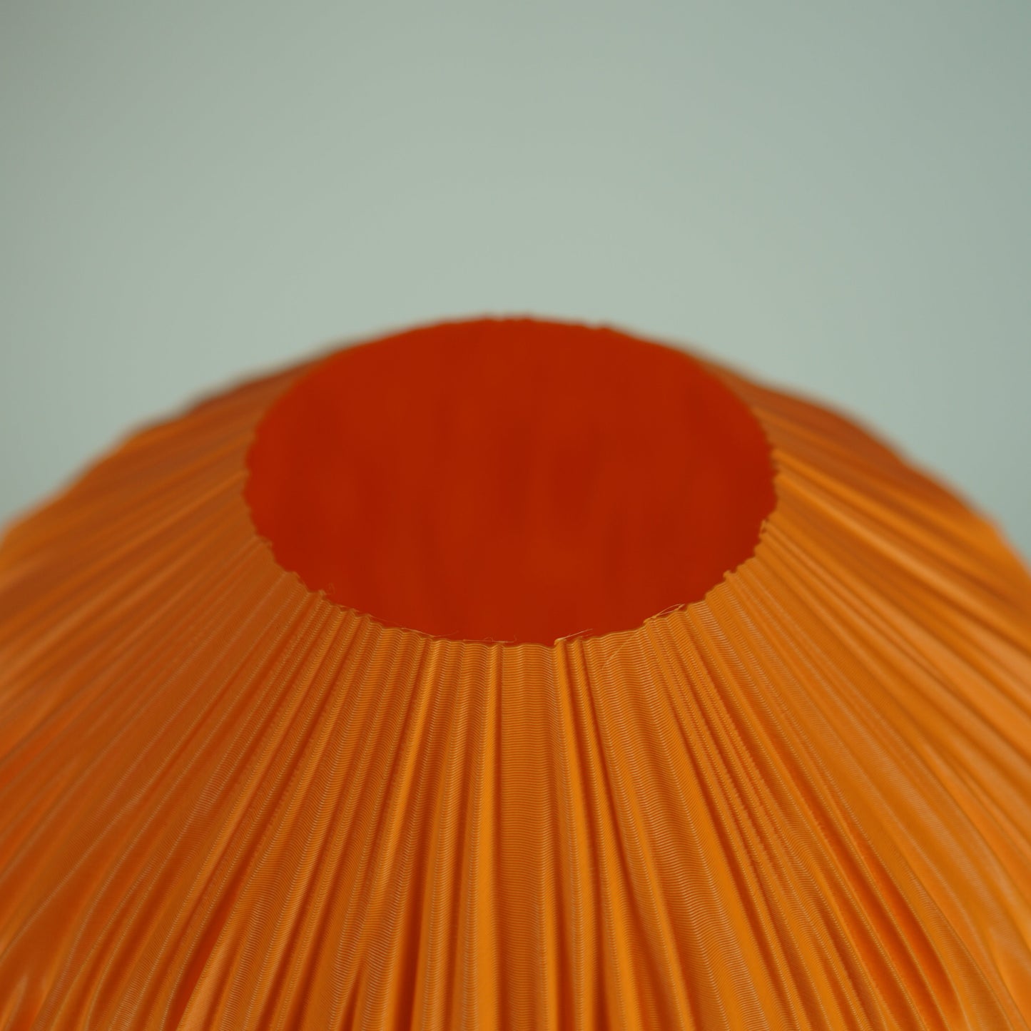 Mandarin Mycelia — Fragment Edition/ Seconds