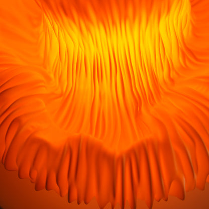 Mandarin Mycelia — Initial Design / Seconds