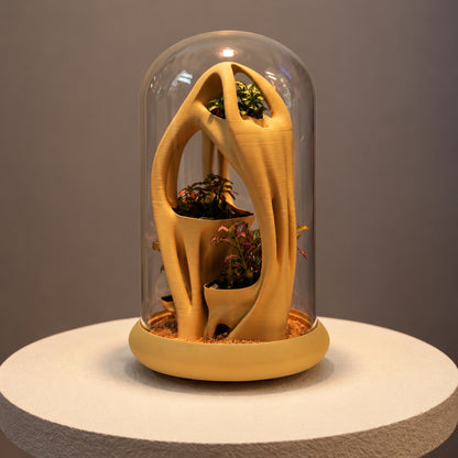 Azulik planted glass-dome terrarium, square alternate view