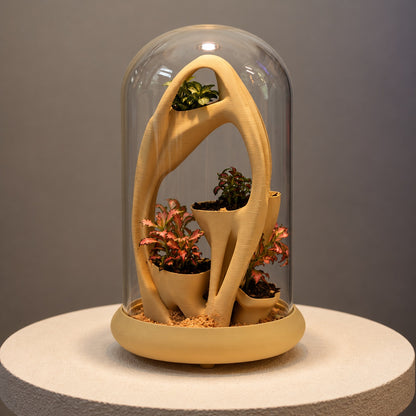Azulik planted sculptural terrarium under glass, square front view