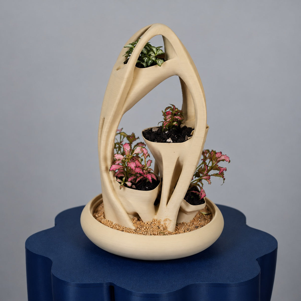 Azulik Terrarium with dome removed, showing its planted sculptural form