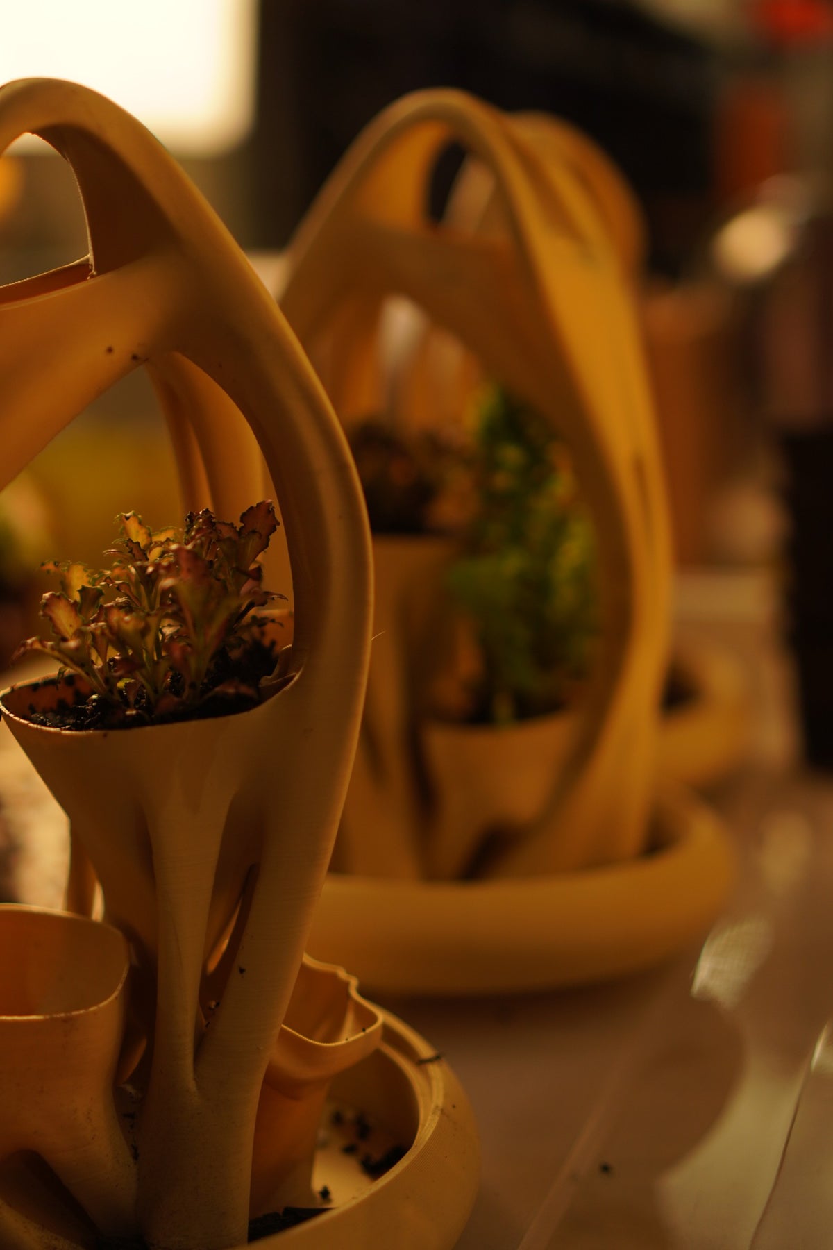azulik terrarium branching detail by Namami Studio