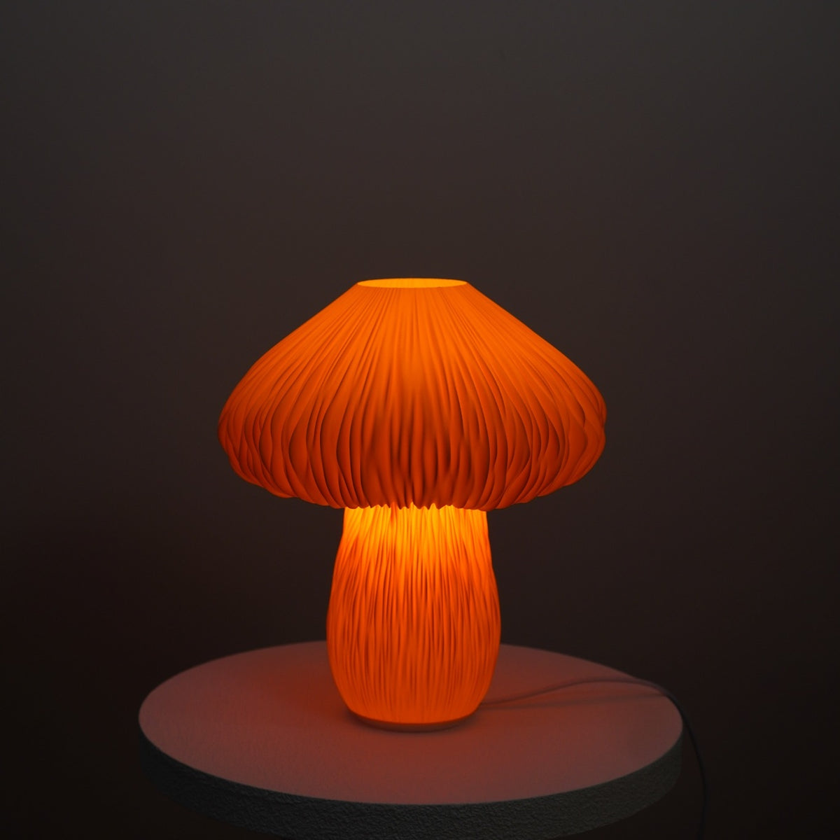 Mandarin Mycelia Studio Seconds illuminated