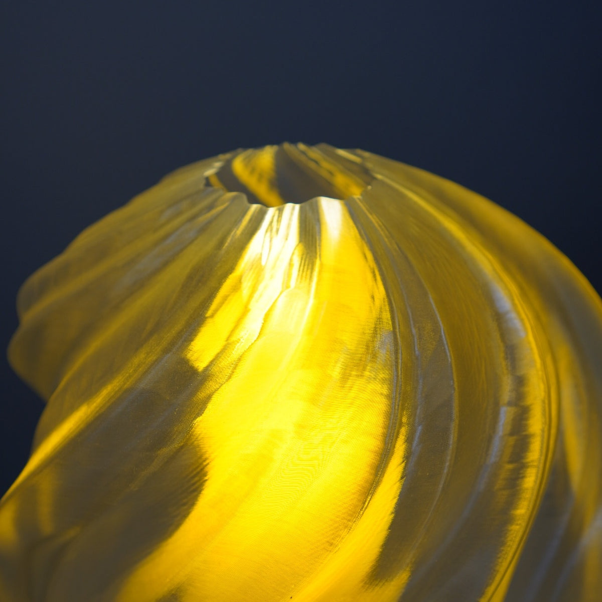 Cloud Gold Whale upper surface close-up